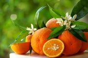 10 فوائد صحية للبرتقال 