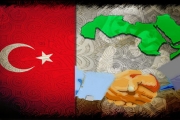 العرب وتركيا….. التاريخ المشترك والربيع الواحد