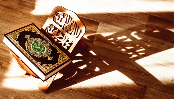 الأخذ بالأسباب في القرآن