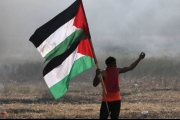 ماذا يعني تجدّد ذكرى احتلال فلسطين؟!