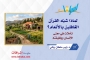 لماذا شبّه القرآن الغافلين بالأنعام؟ تأملات في معنى الإنسان ووظيفته