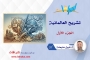 تشريح العالمانية - الجزء الأول